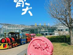 -国家植物园