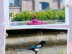 -莲花池公园
