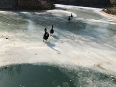 -芭东小镇温泉