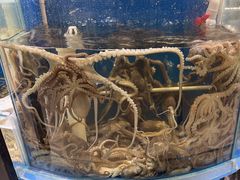 -四海蒸鲜蒸汽海鲜自助(北戴河店)
