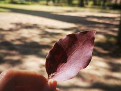 -上海市龙华烈士陵园