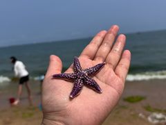 -日照灯塔风景区