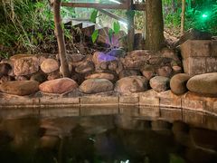 -花水湾第一村温泉大酒店