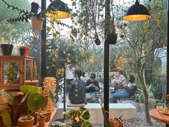 -自由生长植物工作室(深港花卉中心店)