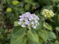 -昆山城市生态森林公园