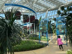 -石家庄市植物园