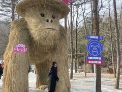 -洛阳白云山景区