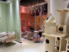 -藏猫猫咖啡主题馆(中央大道店)
