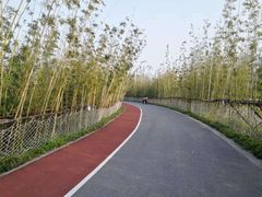 -上海长兴岛郊野公园