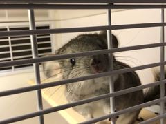 -龙猫仔乐园(惠福东路店)