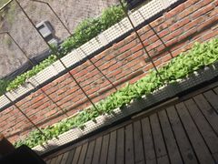 -白云宾馆-中餐厅