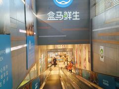 -盒马鲜生(红莲店)