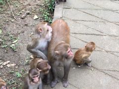 iphone_upload_pic-广西龙虎山风景区