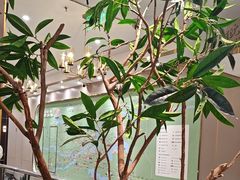 -刘胖子家常菜·蹄花焖藕(中南店)