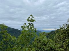 -瓦屋山景区