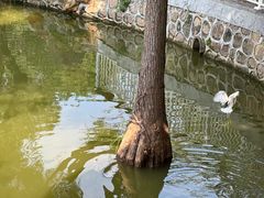 -人民公园(罗湖区)