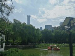 -团结湖公园