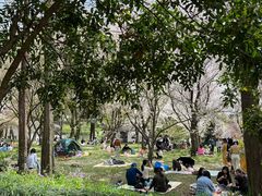 -苏州上方山国家森林公园