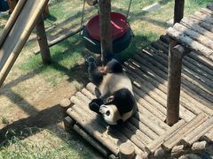 -大连森林动物园