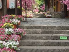 -常德桃花源景区