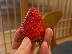 -汤里来温泉