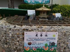 -江门古兜温泉小镇