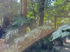-谷咖啡·鲜花绿植花园餐厅