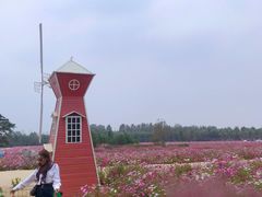 -日照灯塔风景区