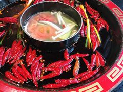 -矮板凳老火锅(宽窄巷子店)