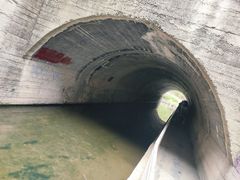 -白水寺森林公园