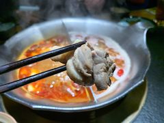 -湊湊火锅·茶憩(石家庄万象城店)