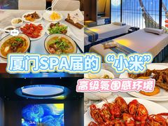 -星漾里•SPA•足道•按摩•养生(吕厝店)