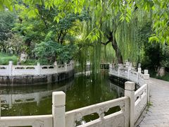 -桃花堤公园