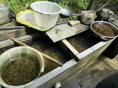 -途中饭店(开化店)