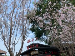 -观澜山水田园