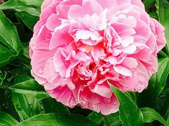 -长春公园(普阳街道)