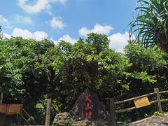 -海口火山口国家地质公园