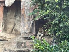 -长鹿旅游休博园