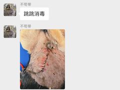 -御宝贝24h宠物医院·转诊中心·CT核磁血透中心(厦门总院)