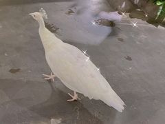 -海合安武汉极地海洋公园