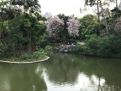 -柳侯公园