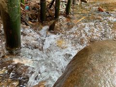 景点-紫云谷景区