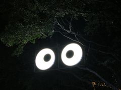 -观澜湖生态运动公社