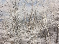 -中旅松花湖滑雪场