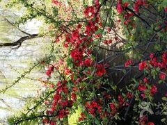 iphone_upload_pic-迎泽公园