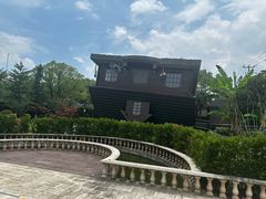 -金山农民画村-枫泾波兰倒置屋