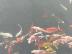 -云和湖仙宫景区