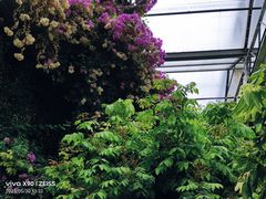 -呀路古热带植物园