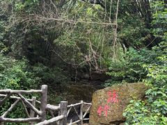 -大雁山风景区