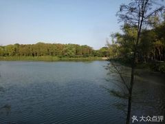 -昆山城市生态森林公园